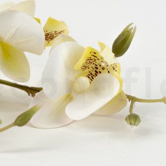 Rama de Orqu&iacute;deas Artificial - Crema