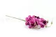 Artificial Orchid Pink 2