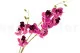 Orqu&iacute;dea artificial Rosa 7