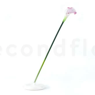 Cala artificial Crema & Rosa