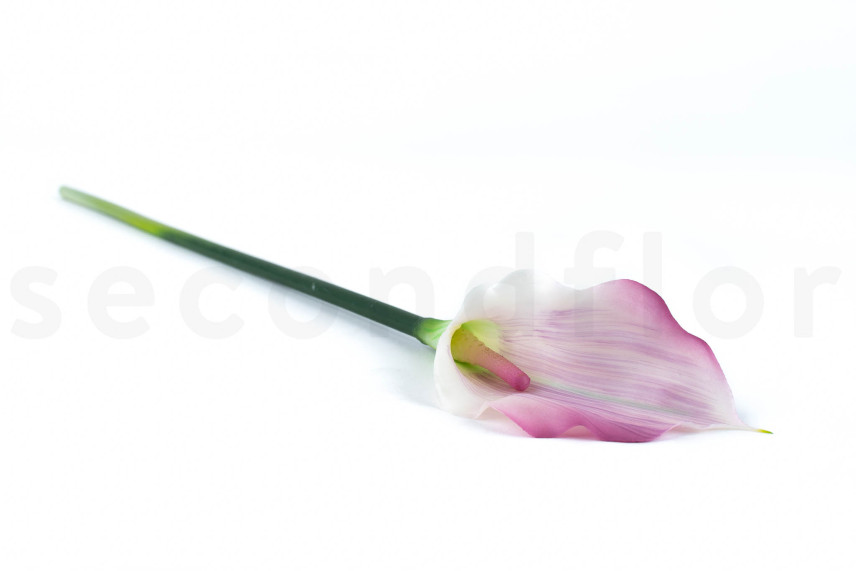 Cala Artificial con tallo - Crema & Rosa