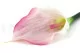 K&uuml;nstliche Calla Creme & Rosa 4