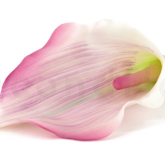 Artificial Calla on Stem - Cream & Pink