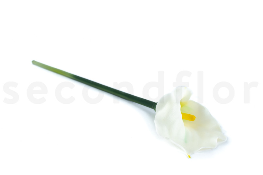 Calla Artificiel sur tige - Cr&egrave;me