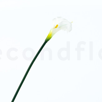 Calla Artificiel sur tige - Cr&egrave;me