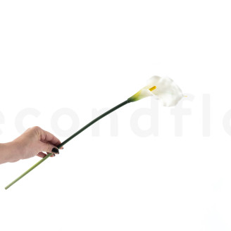 Calla Artificiel sur tige - Cr&egrave;me