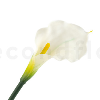 Calla Artificiale su stelo - Crema