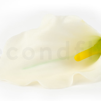 Cala Artificial con tallo - Crema