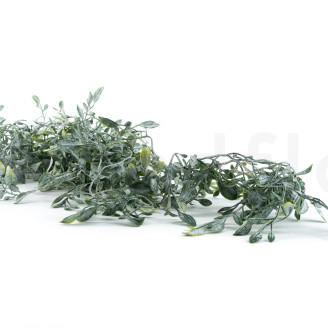 Chute de Ruscus Artificiel - Vert