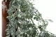 Artificial Hanging Ruscus 5