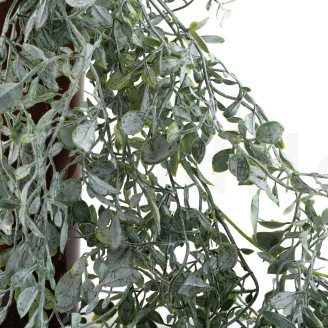 Hanging Artificial Ruscus - Green