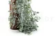 Artificial Hanging Ruscus 6