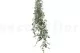 Artificial Hanging Ruscus 7