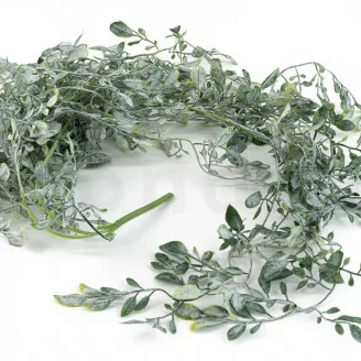 Artificial Hanging Ruscus