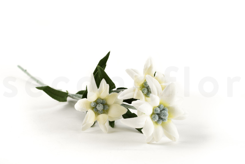 Edelweiss artificiale su stelo - Bianco