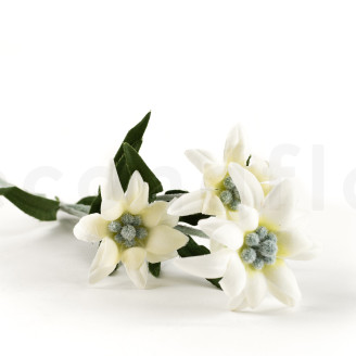Artificial Edelweiss on Stem - White
