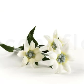 Edelweiss artificiale su stelo - Bianco