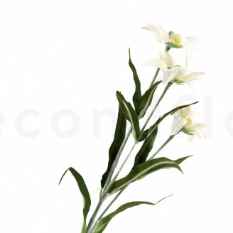 Artificial Edelweiss on Stem - White