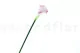 Calla artificiale Crema & Rosa 6