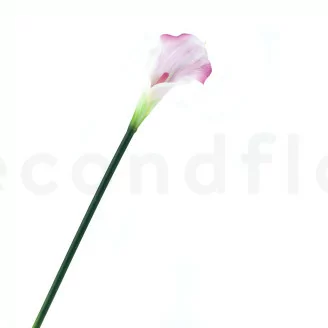 Cala artificial Crema & Rosa