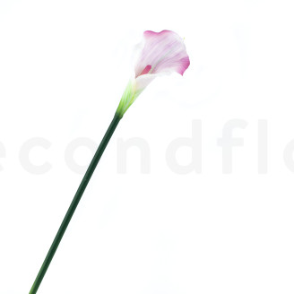 K&uuml;nstliche Calla mit Stiel - Cremefarben & Rosa