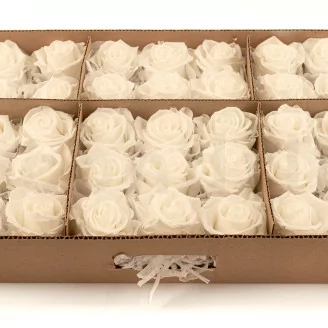 Konservierte Rose L Wei&szlig; - Gro&szlig;packung (x195)