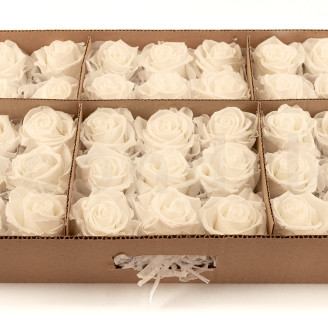 Rose stabilis&eacute;e Verdissimo L - Vrac 195 unit&eacute;s - White