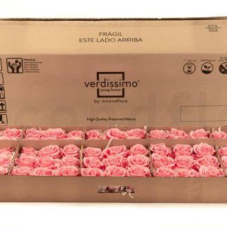 Rosa preservata Verdissimo L - Sfuso 195 unit&agrave; - Pastel Pink