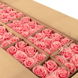 Preserved rose Verdissimo L - Bulk of 195 units - Pastel Pink