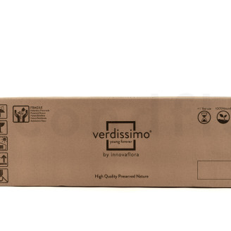 Stabilisierte Rose Verdissimo L - Bulk 195 St&uuml;ck - Red