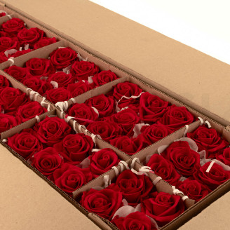 Rosa preservata Verdissimo L - Sfuso 195 unit&agrave; - Red