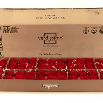 Rosa stabilizzata L Rosso - Grande formato (x195)