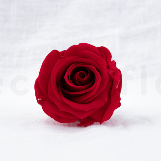 Rosa preservada Verdissimo L - Caja de 6 - Red