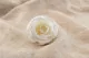 Rose stabilis&eacute;e L Blanc - Vrac (x195) 2