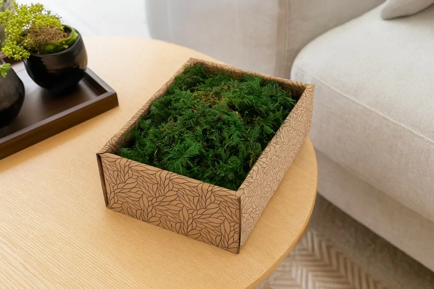 Muschio di felce stabilizzato - Creabox S - Verde