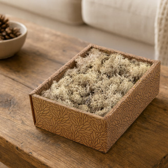 Lichene stabilizzato - Creabox - Cream