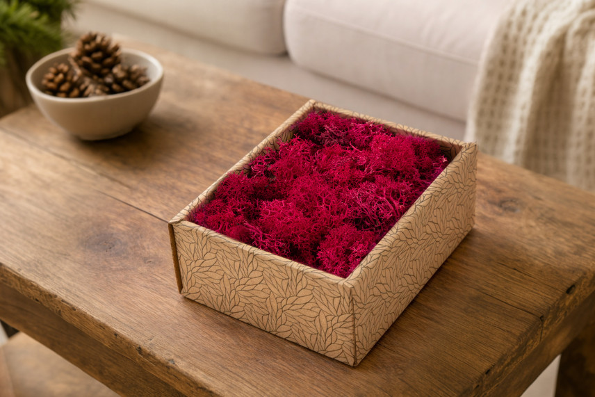 Lichene preservato - Creabox S - Fuchsia