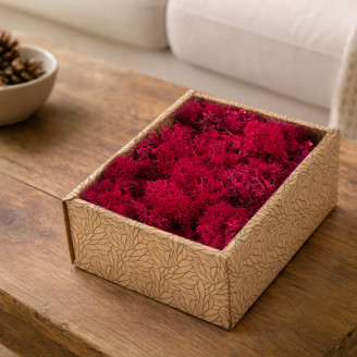 Liquen preservado - Creabox - Fuchsia