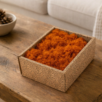 Liquen preservado - Creabox S - Naranja