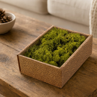 Lichene preservato - Creabox S - Medium Green