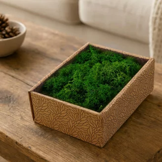 Liquen preservado Nature Green (Creabox S)