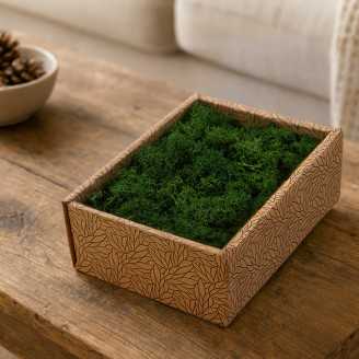 Liquen preservado - Creabox - Forest Green