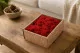 Lichen stabilis&eacute; Rouge (Creabox S) 1