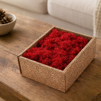 Lichene preservato - Creabox S - Rosso