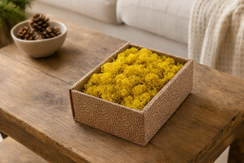 Lichene preservato - Creabox S - Giallo