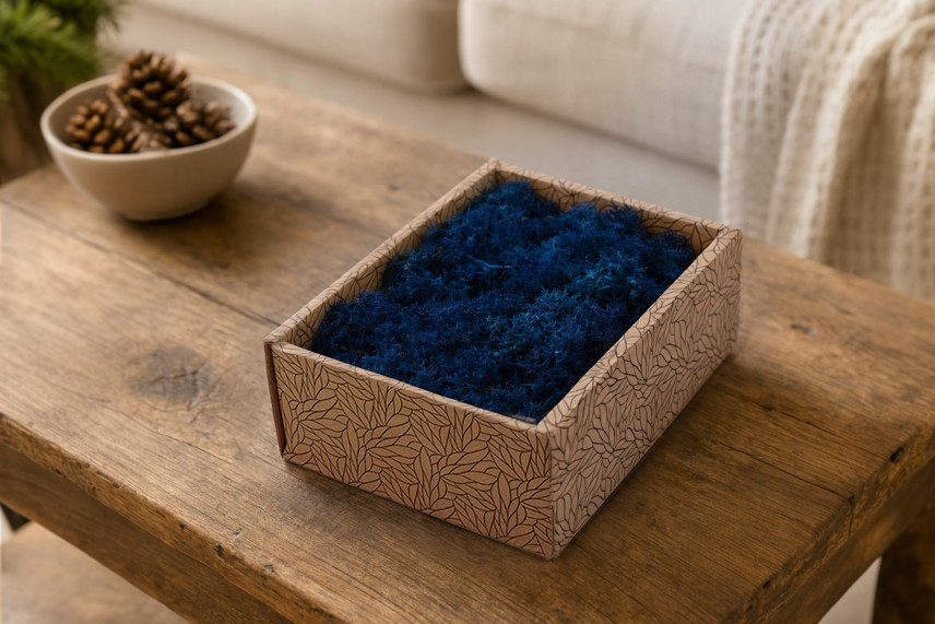 Lichene preservato - Creabox S - Royal Blue