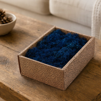 Lichene preservato - Creabox S - Royal Blue