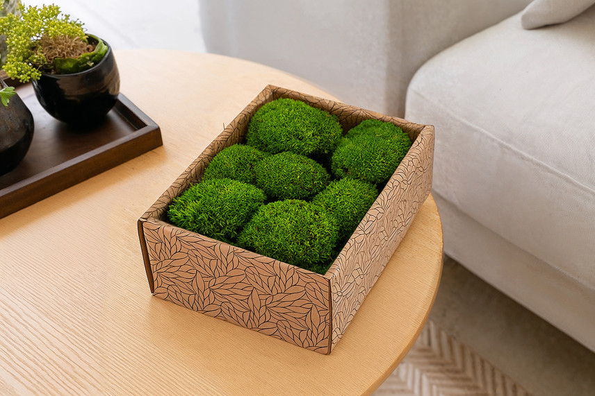 Mini Ball Moss Preserved - Creabox S - Light Green