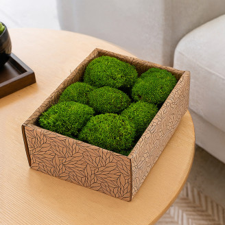 Mini Ball Moss Preserved - Creabox - Light Green