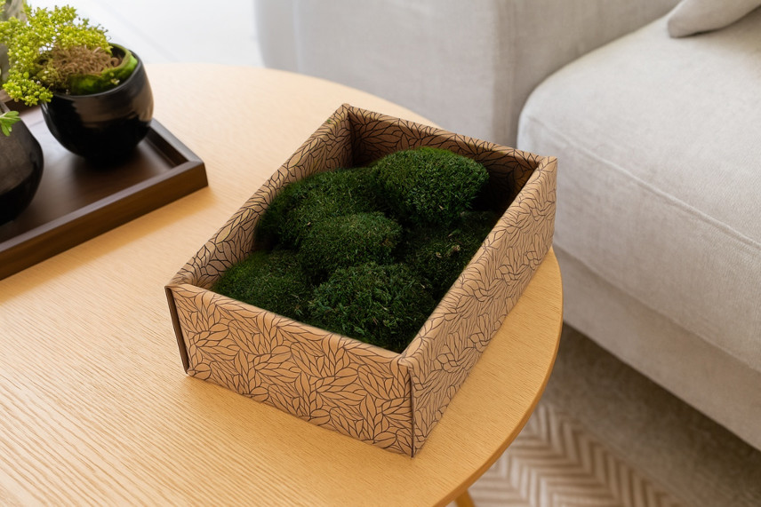 Mini Muschio a sfera stabilizzato - Creabox S - Nature Green